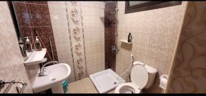 a bathroom with a toilet and a sink at Sheraton Apartment شقة الشيراتون in Cairo