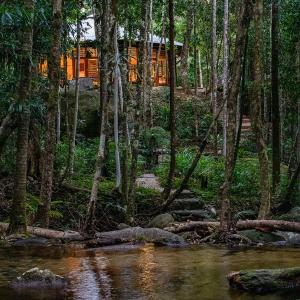 a cabin in the woods next to a stream at Daintree Cascades in Cape Tribulation