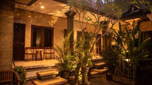a house with a bunch of plants in front of it at Umah Bukit House in Uluwatu