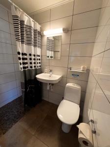 a small bathroom with a toilet and a sink at Ustedalen Lodge, Appartement 1 in Geilo +23 photos