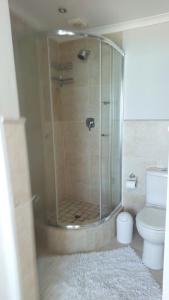 a bathroom with a shower and a toilet at Blouberg Heights in Cape Town +6 photos