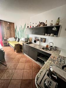 a kitchen with a sink and a room with a bed at L’anthurium in Saint-Paul