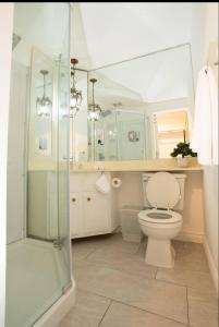 a bathroom with a toilet and a shower at silver in Chatsworth +8 photos