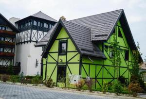 a green and white building with a black roof at Vila Antanta Podu' Cu Lanturi in Bacău