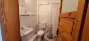 a small bathroom with a toilet and a sink at Vila Casa Alesiv in Cluj-Napoca