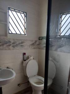 a bathroom with a toilet and a sink and a window at Yadah Accommodations in Lothlekane +13 photos