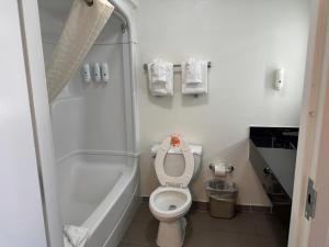 a small bathroom with a toilet and a shower at Quality Inn Fishers - Indianapolis in Fishers +17 photos