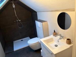a bathroom with a toilet and a sink and a shower at Schwalbennest Flensburger Förde in Westerholz +21 photos