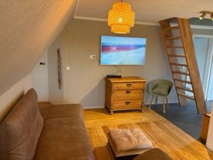 a living room with a couch and a tv and a ladder at Schwalbennest Flensburger Förde in Westerholz