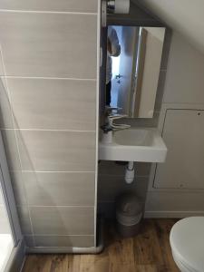 a person taking a picture in a bathroom mirror at hotel le malgovert SEEZ 73 in Séez +21 photos