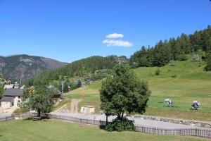 a tree in the middle of a grassy hill at Les castors in Roubion