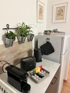 a kitchen counter with a coffee maker and plants at La Dimora dei Cri in Cona +6 photos