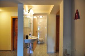 a bathroom with a sink and a toilet at Pferdehof Oberegg in Werfenweng +65 photos