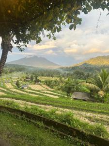 a view of a field with mountains in the background at Panorama Sidemen in Silebeng