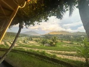 a view of a rice field from a house at Panorama Sidemen in Silebeng