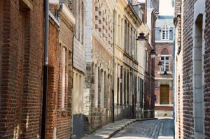 an alley in an old city with brick buildings at Studio Mookaite in Lille +6 photos