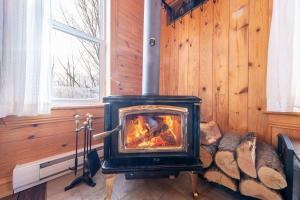 a wood stove in a room with a fireplace at Spa Outdoor & Adventure - LEnigmasud in Saint-Philémon