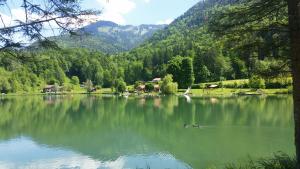 a lake with ducks in the water with mountains in the background at Ruhlander-Hof in Unterwössen