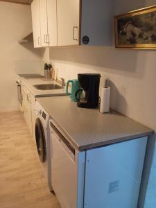 a kitchen with a sink and a washing machine at 70 m2 Anneks på gården in Malling