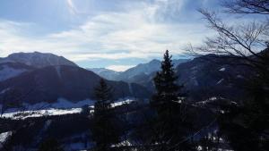 a view of a snowy mountain with trees and mountains at Ferienwohnung beim Schnellerbauer in Micheldorf in Oberösterreich