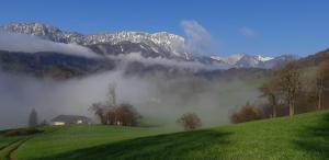 a foggy field with a mountain in the background at Ferienwohnung beim Schnellerbauer in Micheldorf in Oberösterreich