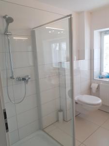 a bathroom with a shower and a toilet at Hotel-Restaurant Faehr-Cafe in Niesgrau
