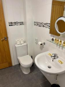 a white bathroom with a toilet and a sink at Marine Apartment in Aberystwyth +19 photos