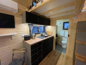 a kitchen with a sink and a toilet in a room at Badgers Hollow by Tiny Away in Whitchurch