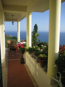 a balcony with potted plants and a view of the ocean at Apartamento do Sol in Arco da Calheta