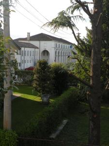 a white building with a tree in front of it at B&B Chiara in Limena