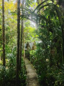 a path through the jungle with a house in the background at Tampat do Aman in Kudat