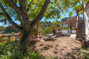 un patio con un árbol, una mesa y sillas en Las Calas de Valleseco, en Valleseco