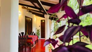 a dining room with a table and chairs and a plant at Sigiriya Hidden Home Stay in Sigiriya