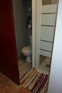 a bathroom with a toilet and a glass door at Gite D'étape de roslaye in Gourin