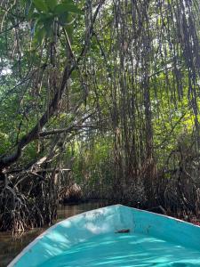 a blue boat in the middle of a river at Mishthana Canal Resort in Bentota