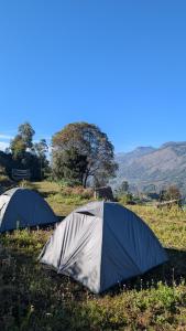 two tents in a field with trees in the background at EKa Forest in Vattavada