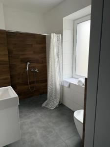 a bathroom with a shower and a toilet and a window at Hostel Granat in Czekanów