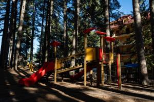 a playground in the woods with a slide and a slideintend at Sila Magico Incanto in Camigliatello Silano