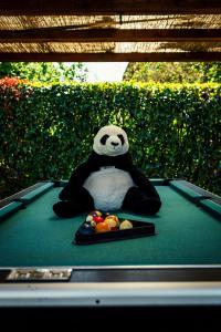 a stuffed panda bear sitting on a table with fruit at Agriturismo Casal Gheriglio in Lucignano