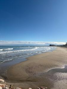 a beach with rocks and the ocean on a clear day at Le stanze di veneranda in Silvi Marina