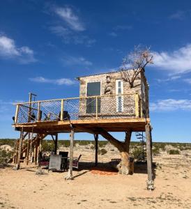 a house on top of a tree stump in the desert at Treehouse in Joshua Tree