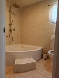 a bathroom with a tub and a toilet at הzimער של ביטון in Merhav Am