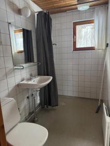 a bathroom with a sink and a toilet and a shower at Skutstuga 2 - Gruvbacken Huså in Järpen