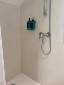 a shower with a shower head in a bathroom at Gite de Sainte Gemme in Sainte-Gemme