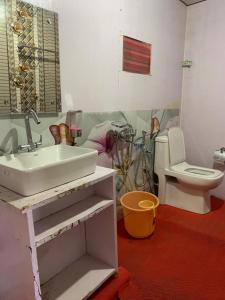 a bathroom with a sink and a toilet at Hill Side Cabin, Pangong in Spangmik