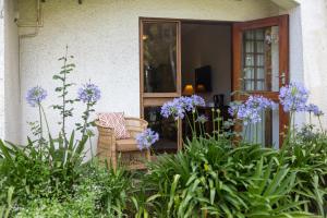 a garden with purple flowers in front of a house at Bronte Hotel in Harare