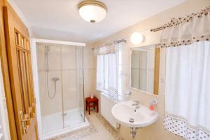a bathroom with a sink and a shower and a sink at U Bílého koníka in Kostelní Bříza