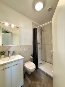 a bathroom with a toilet and a shower and a sink at Haus OstseeWelle - Kleine Perle in Dahme