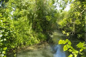 a river in the middle of a forest at Le Domaine de Wail Legends Resort in Wail