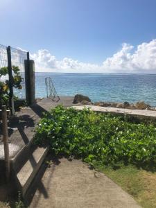 a plot of plants with the ocean in the background at Douceur de vivre in Sainte-Anne